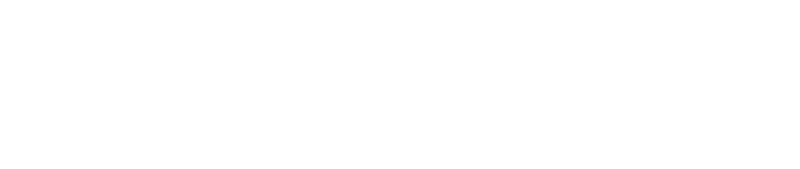 schioldborg logo